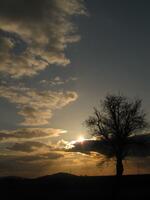 Kancelář vedení města